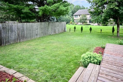 30 Back Yard.jpg