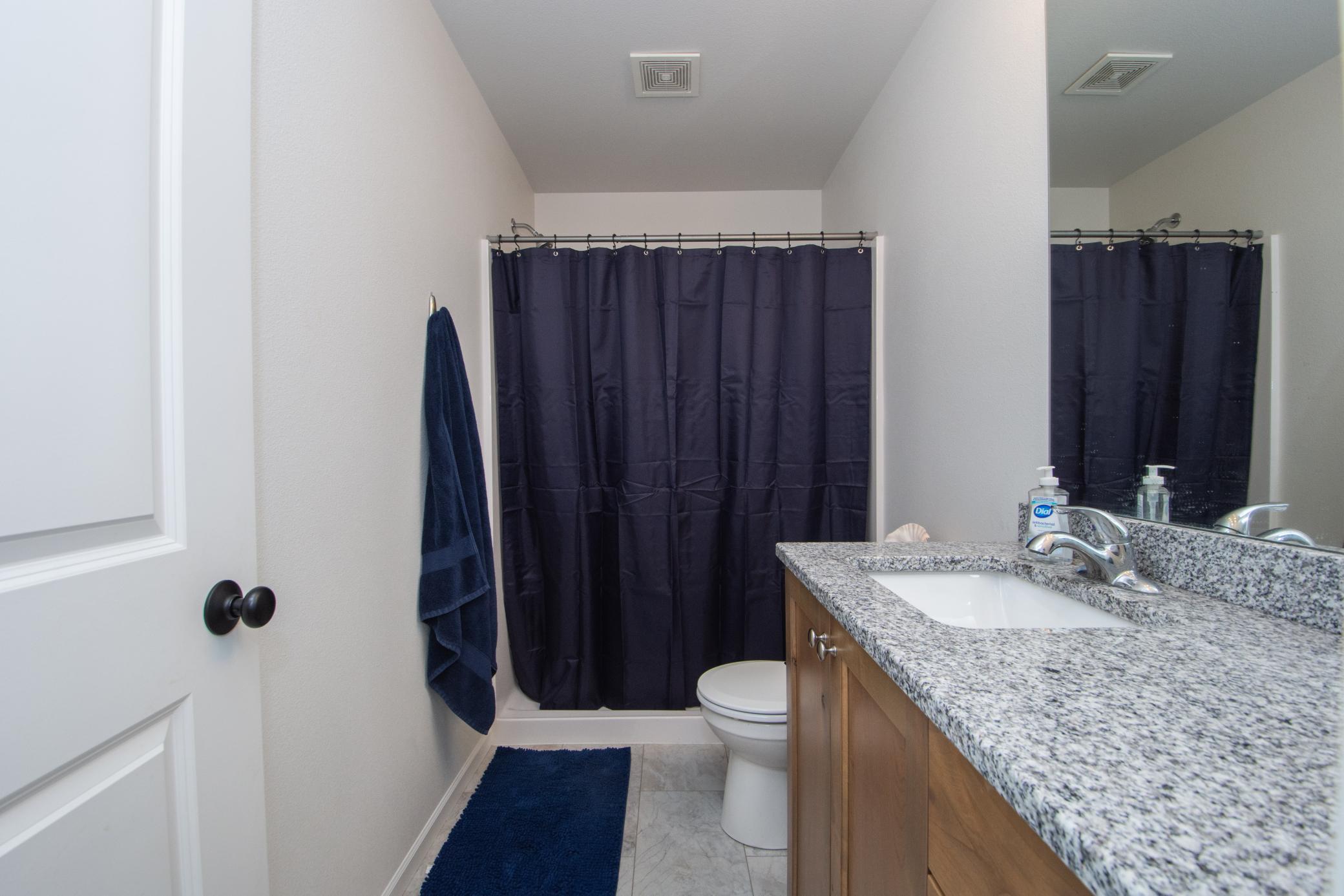Lower Level Bathroom
