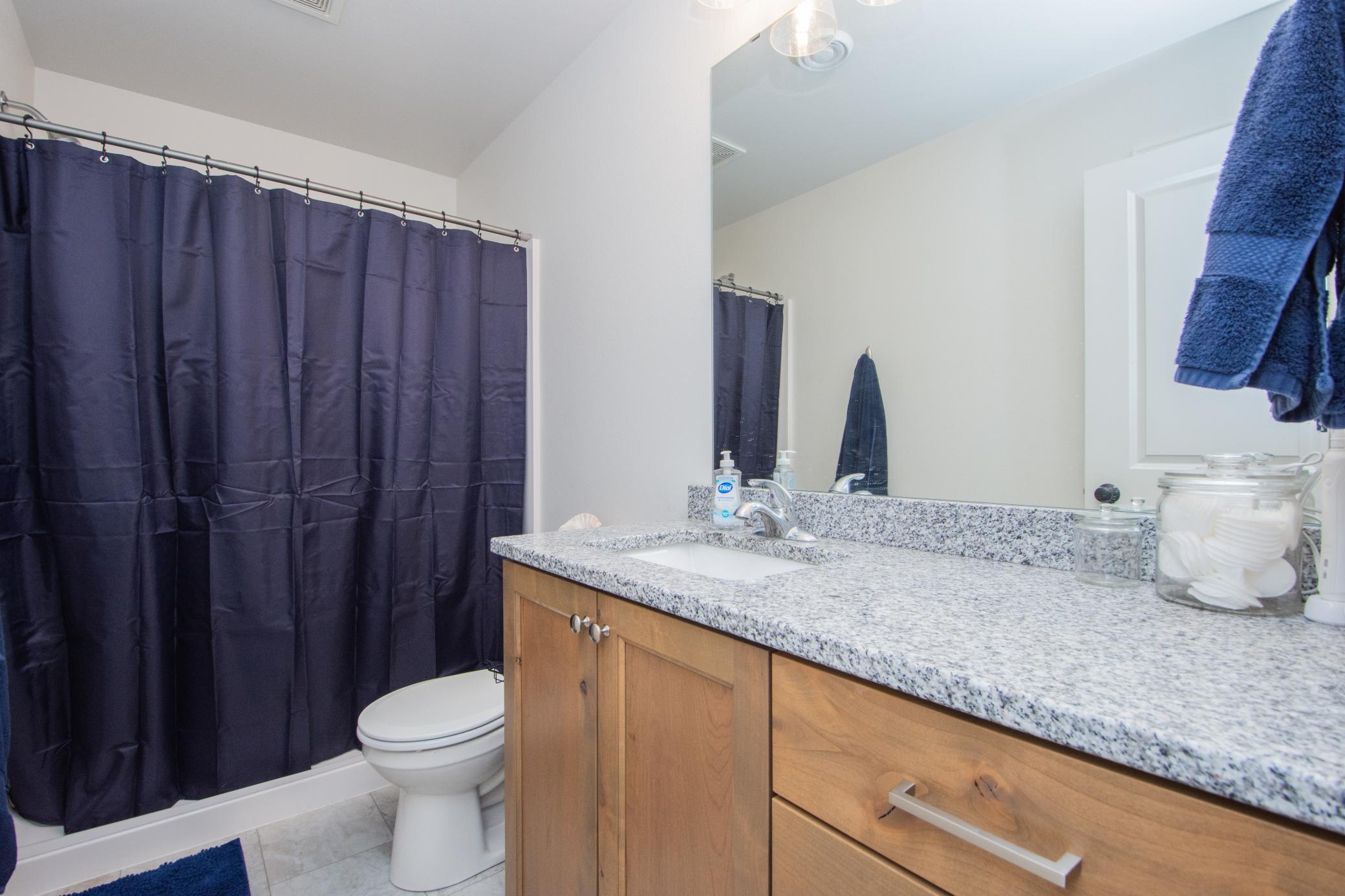 Lower Level Bathroom