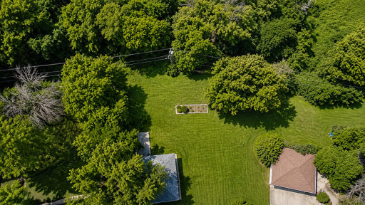 Mature tree's/Small garden