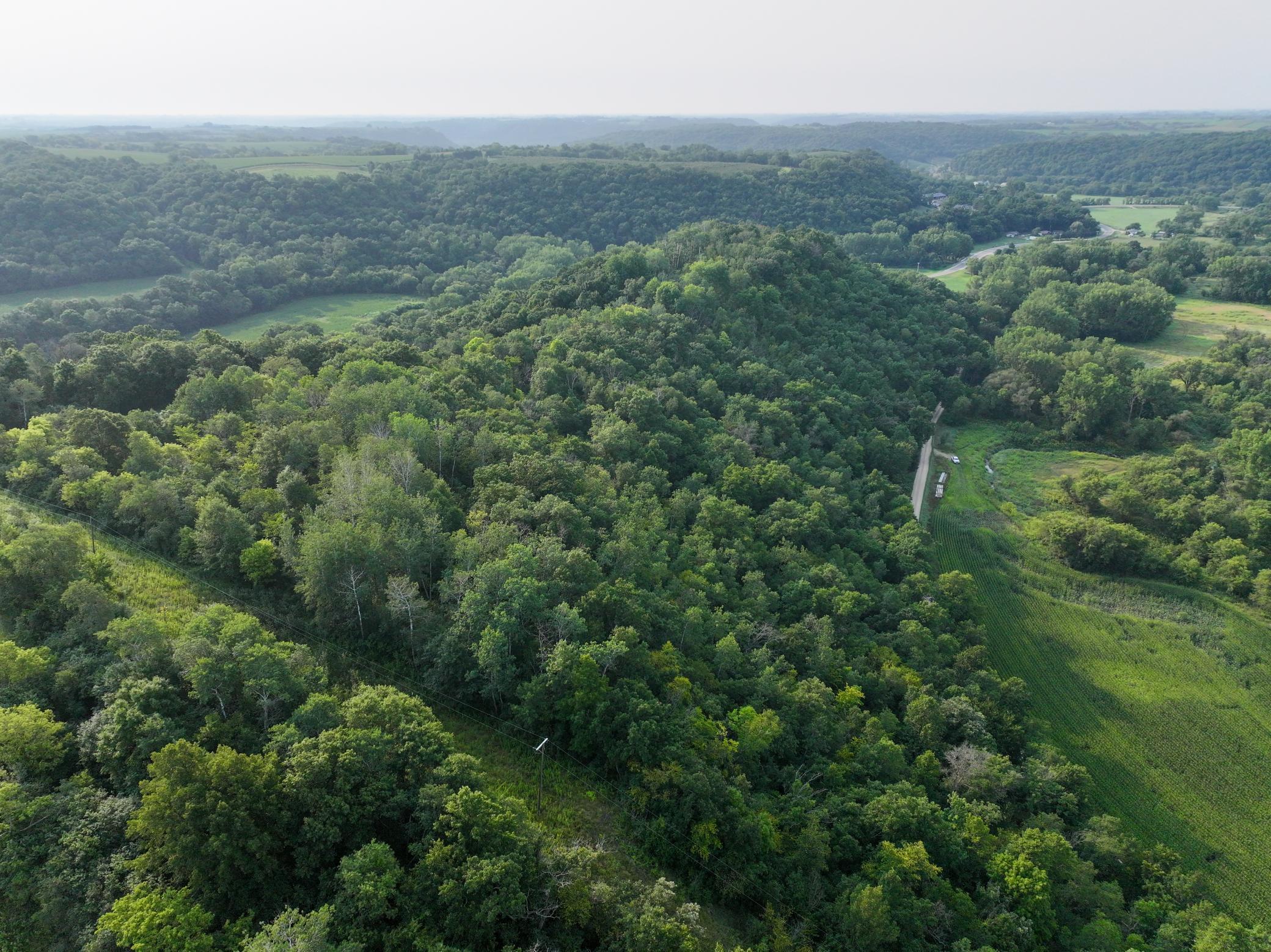 Wabasha 19.6-14.jpg
