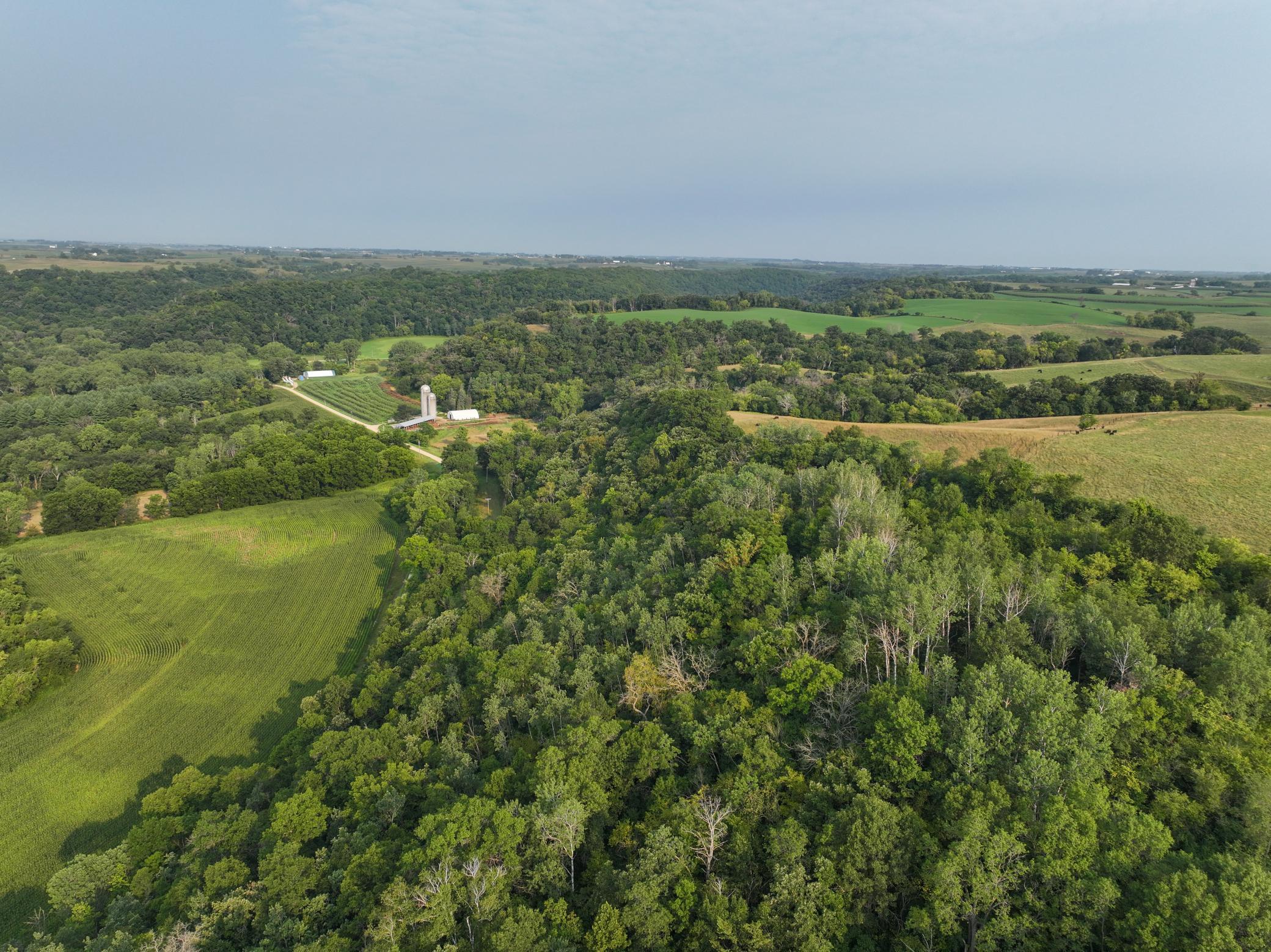 Wabasha 19.6-12.jpg