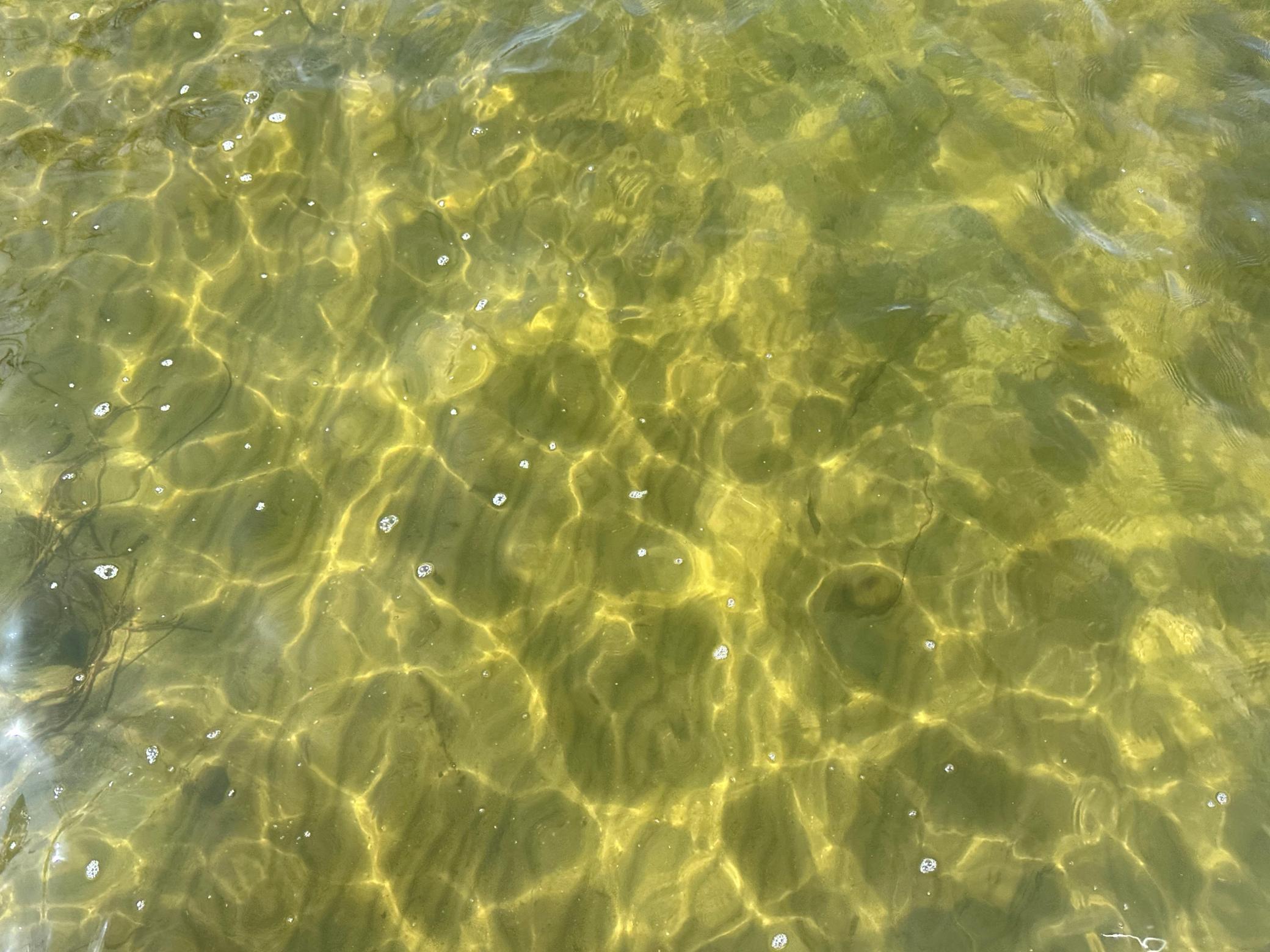 water most of the year