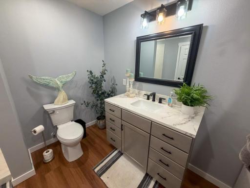 11489 Alcott Drive, Sauk Centre, MN 56378