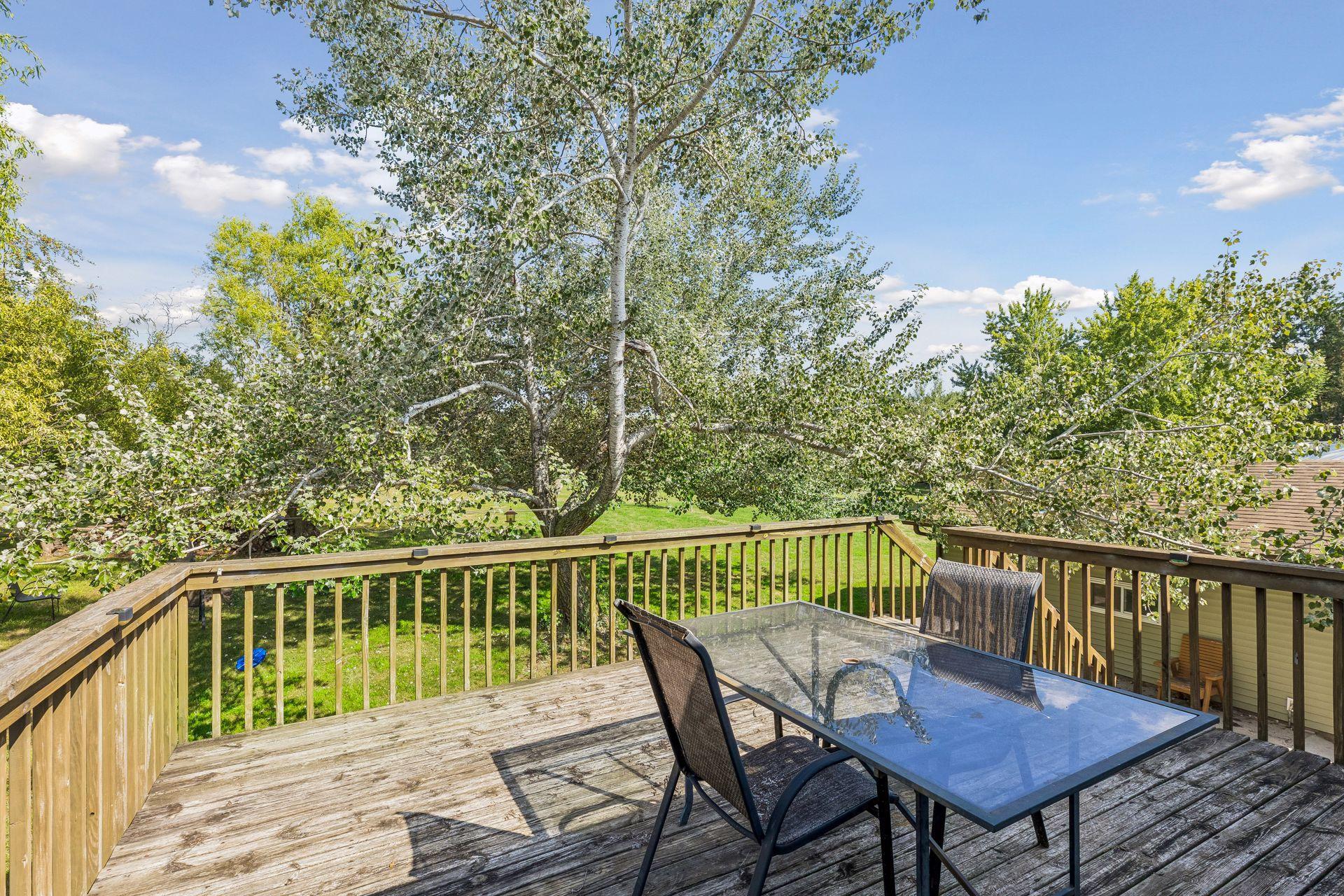 View of backyard