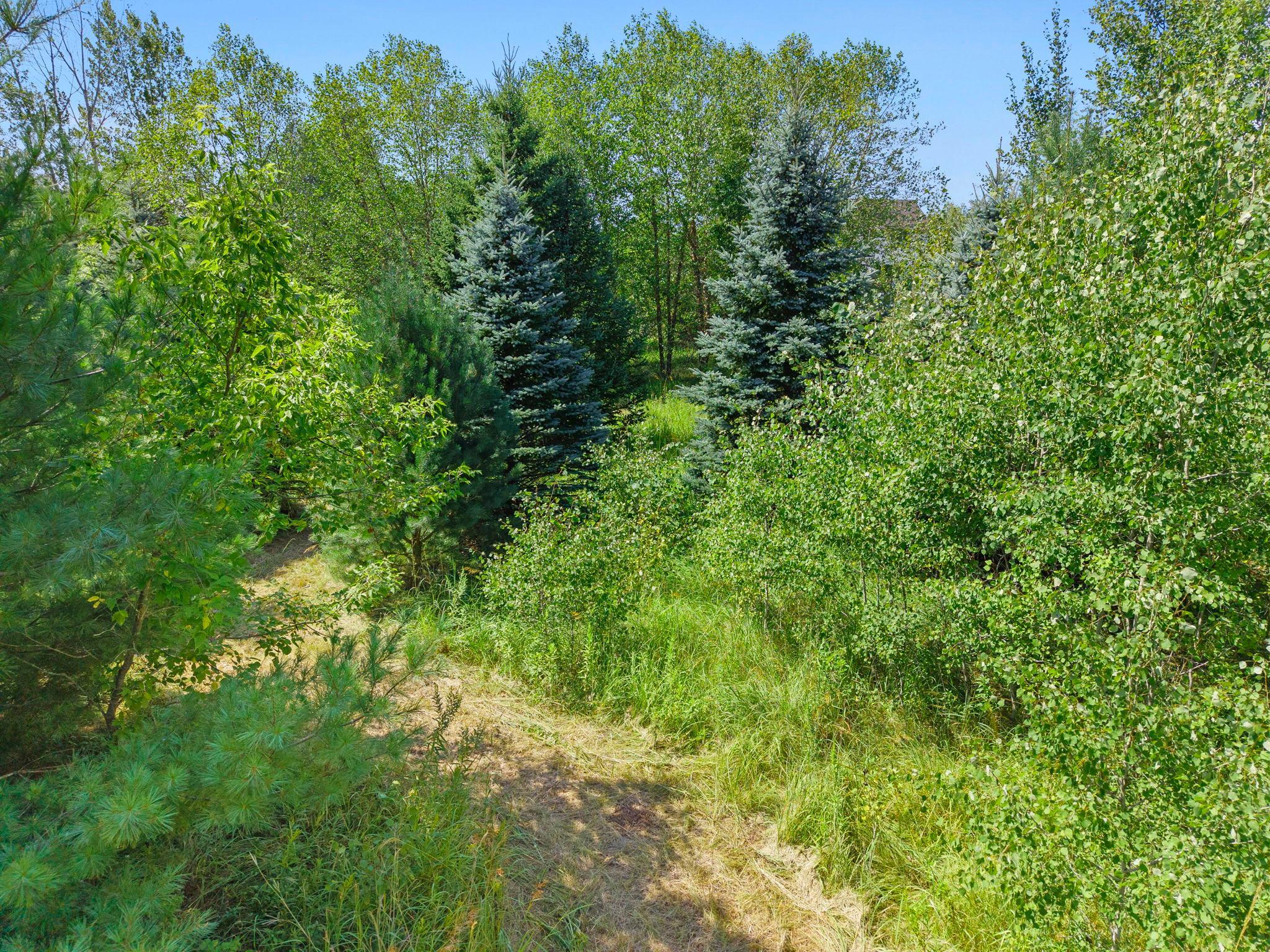 135-web-or-mls-40617 Lowden Ave-588 (2).jpg