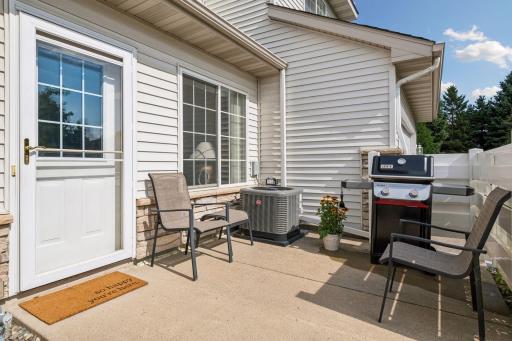 1685 Patriot Lane, Waconia, MN 55387