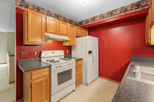 1437 Mcintosh Circle, Shakopee, MN 55379