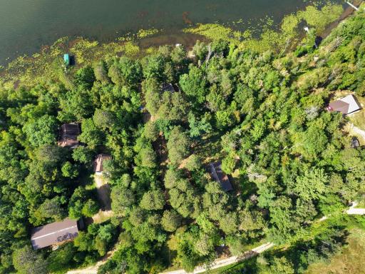 dji_fly_20260816_155350_0392_1786913914111_photo.jpg