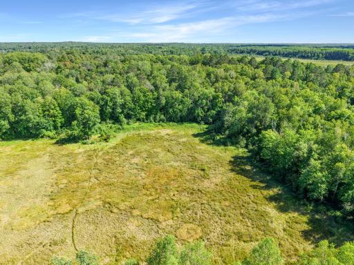 dji_fly_20260816_155220_0389_1786913915893_photo.jpg