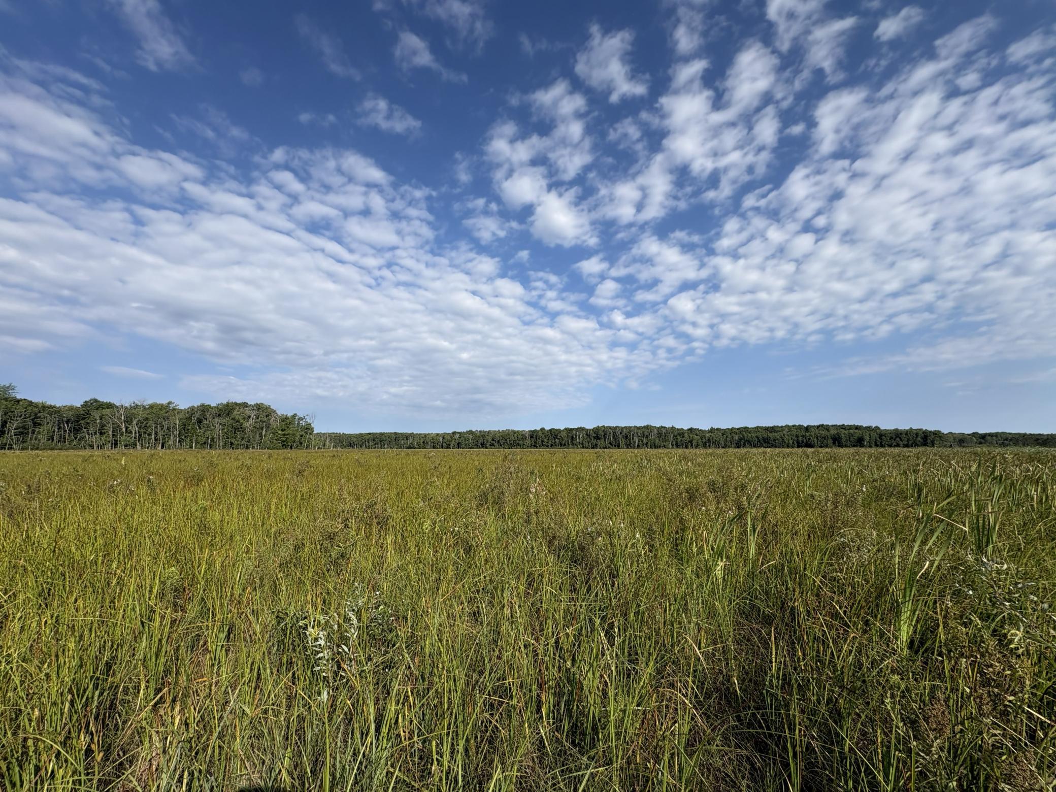 Property photo for XXX Meadowview Road, Brainerd, MN 56401