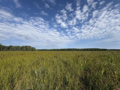 XXX Meadowview Road, Brainerd, MN 56401