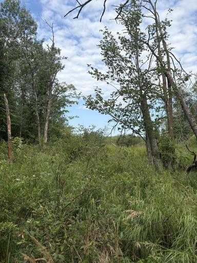 XXX Meadowview Road, Brainerd, MN 56401