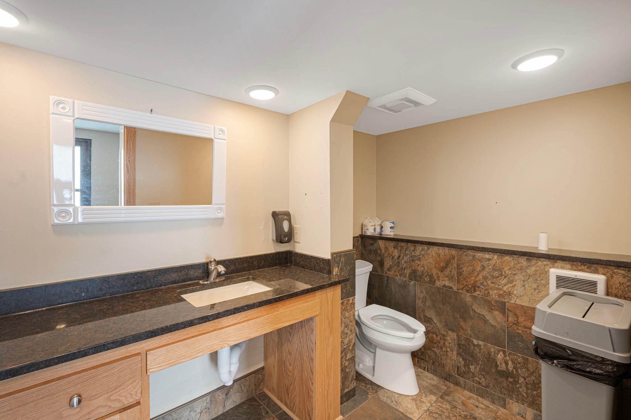 Lower Level Bathroom