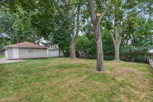 Exterior backyard