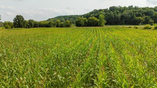 0 County Road K, Boyceville, WI 54725