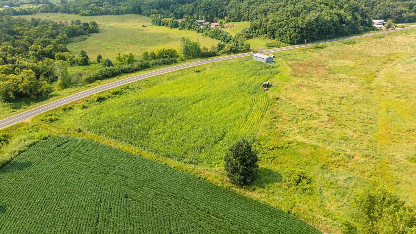 DJI_0579.jpg