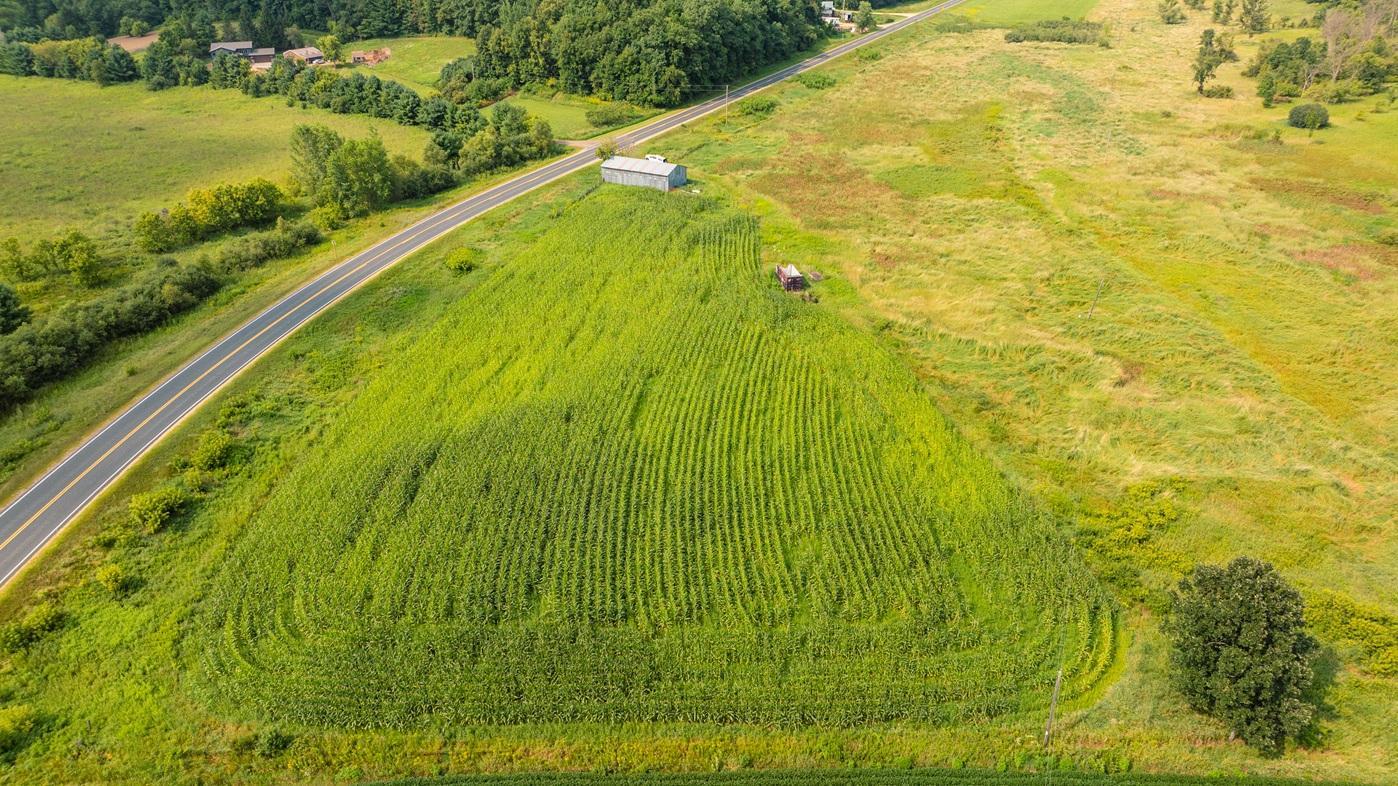 DJI_0576.jpg