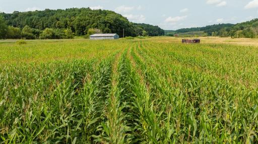 0 County Road K, Boyceville, WI 54725