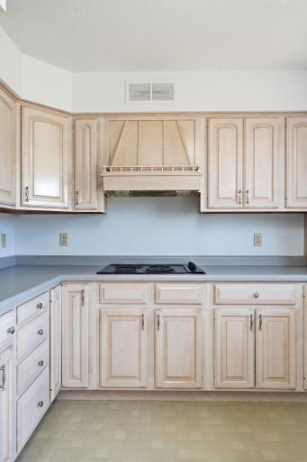 Range Hood