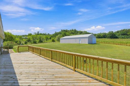Shed Backyard