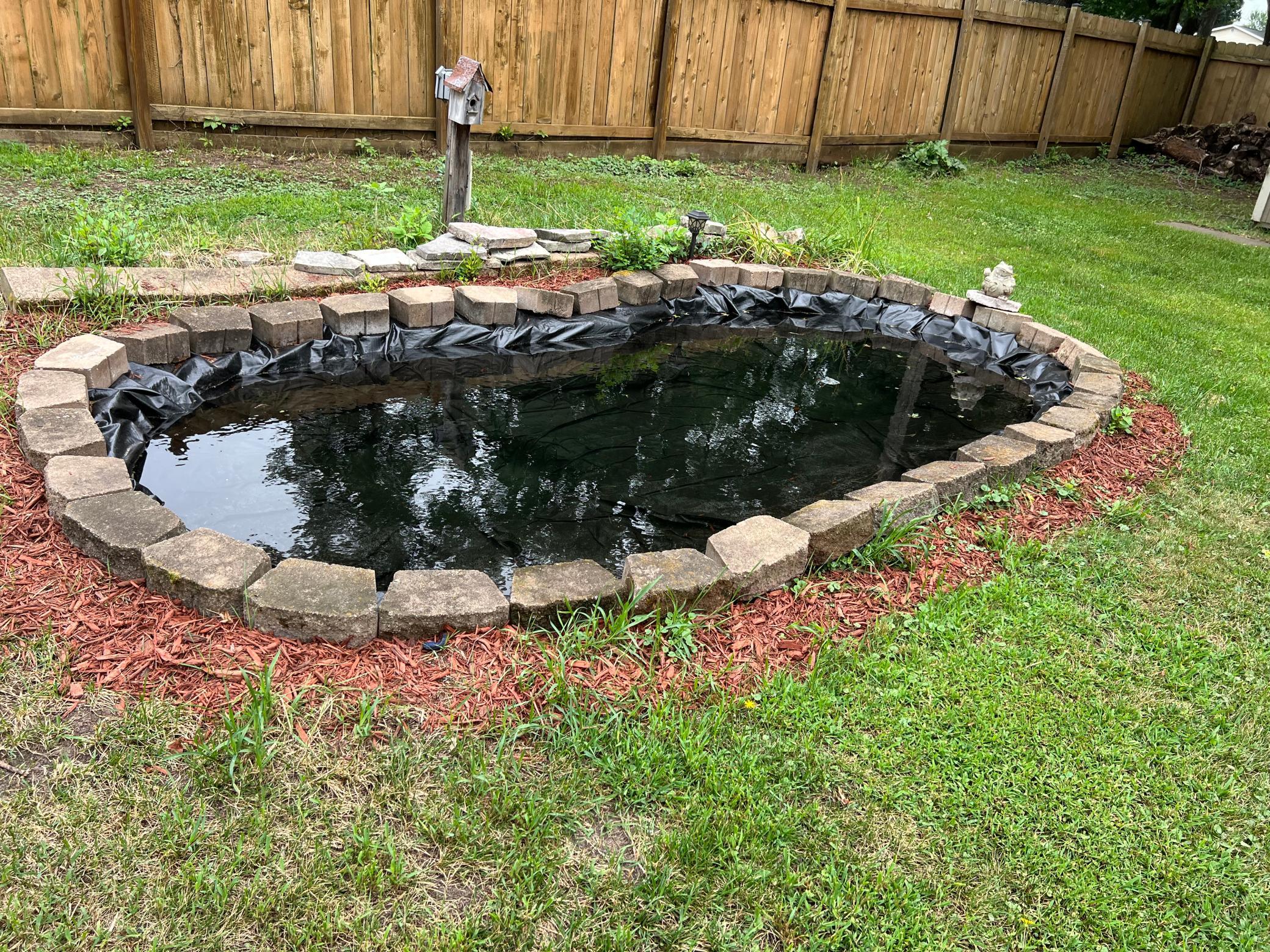 Back Yard Pond