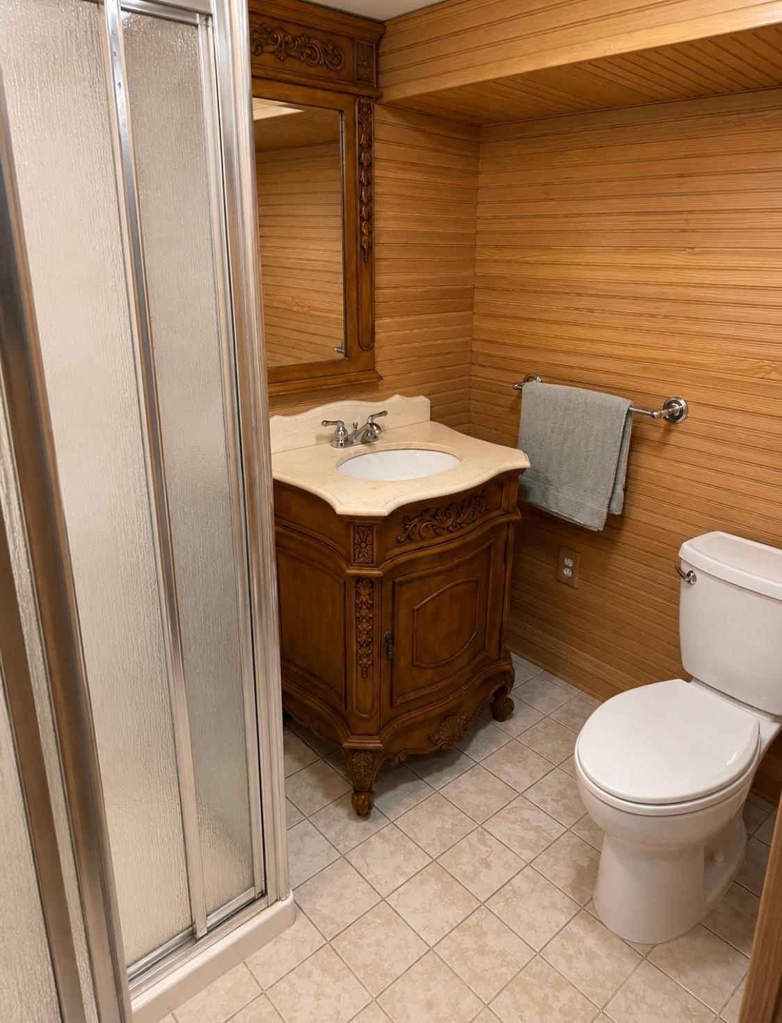 Lower Level Bathroom