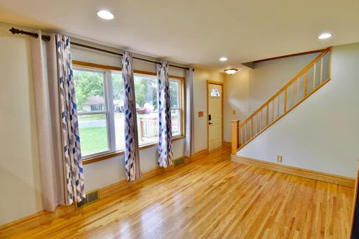 Tammy - Mounds View - 13.jpeg