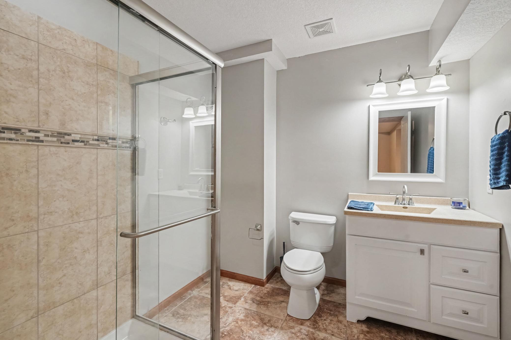 Lower Level Bathroom