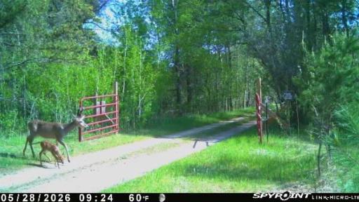 13062 230th Street, Park Rapids, MN 56470