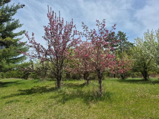 13062 230th Street, Park Rapids, MN 56470