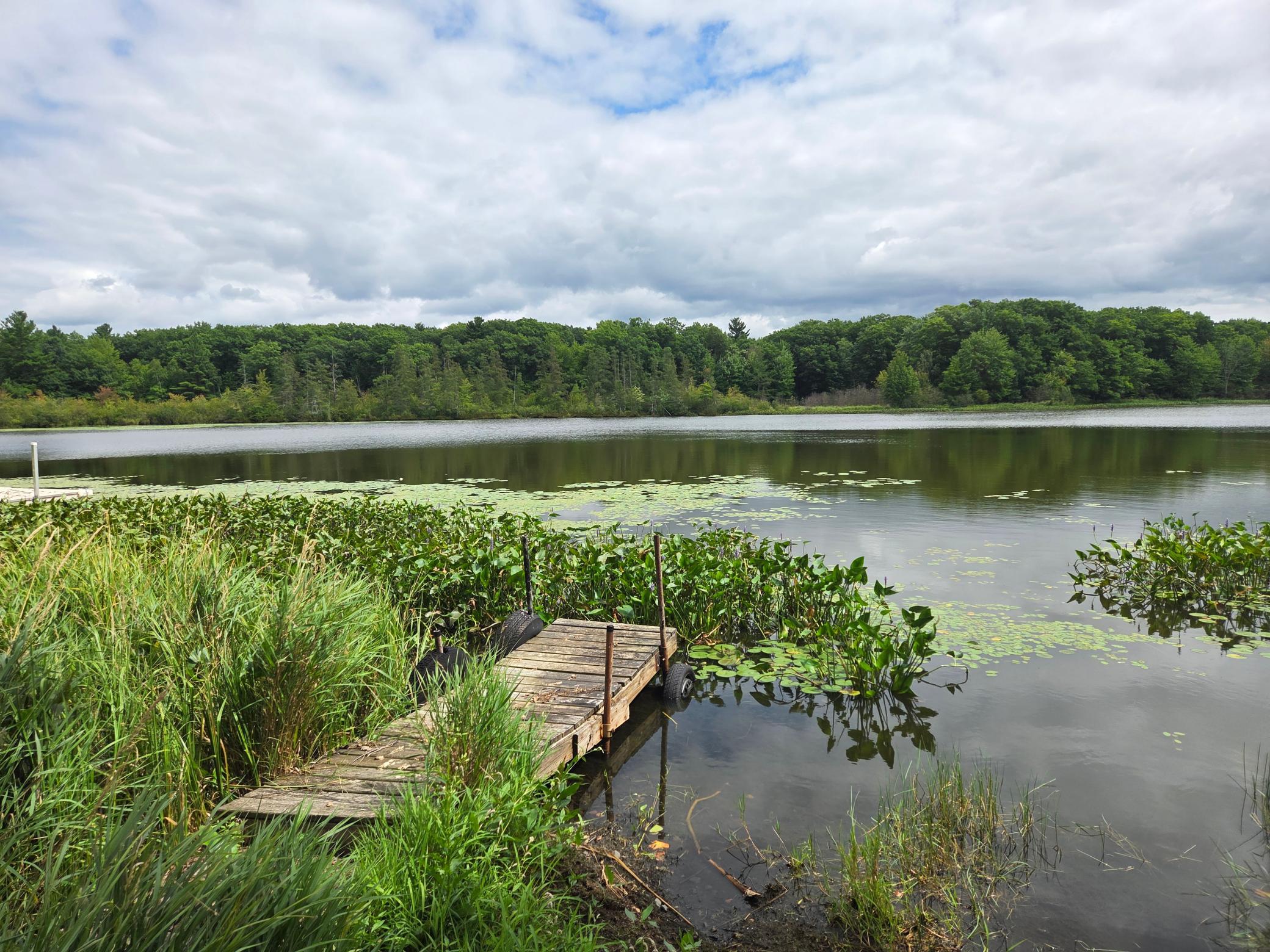 Shared Lake Access