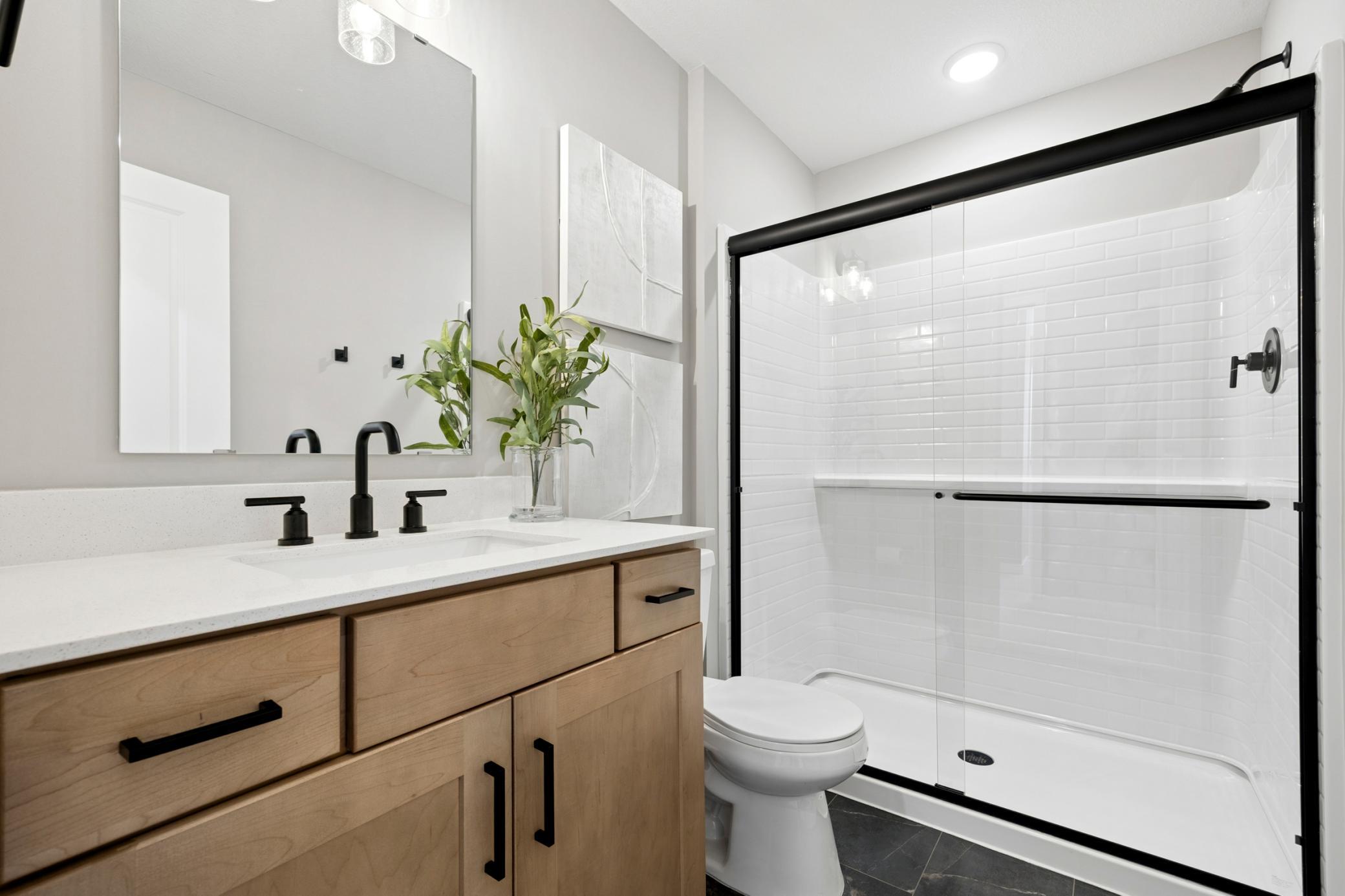 Lower Level Bathroom