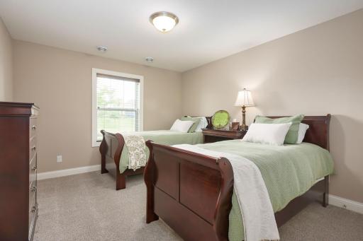 Additional bedroom on lower level, with walk-in closet.