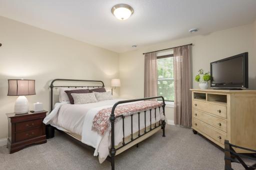 One of two bedrooms on lower level, with walk-in closet.