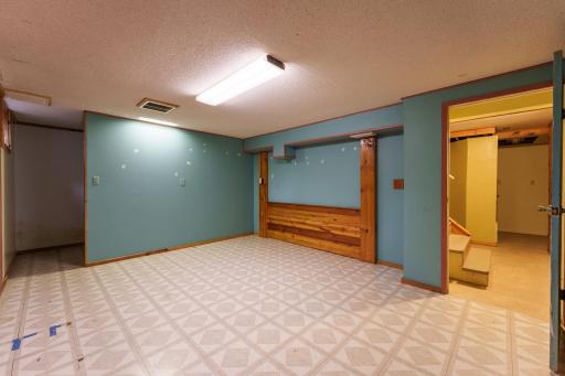 Downstairs Family Room - 21660 Northfield Blvd Hampton-62.jpg