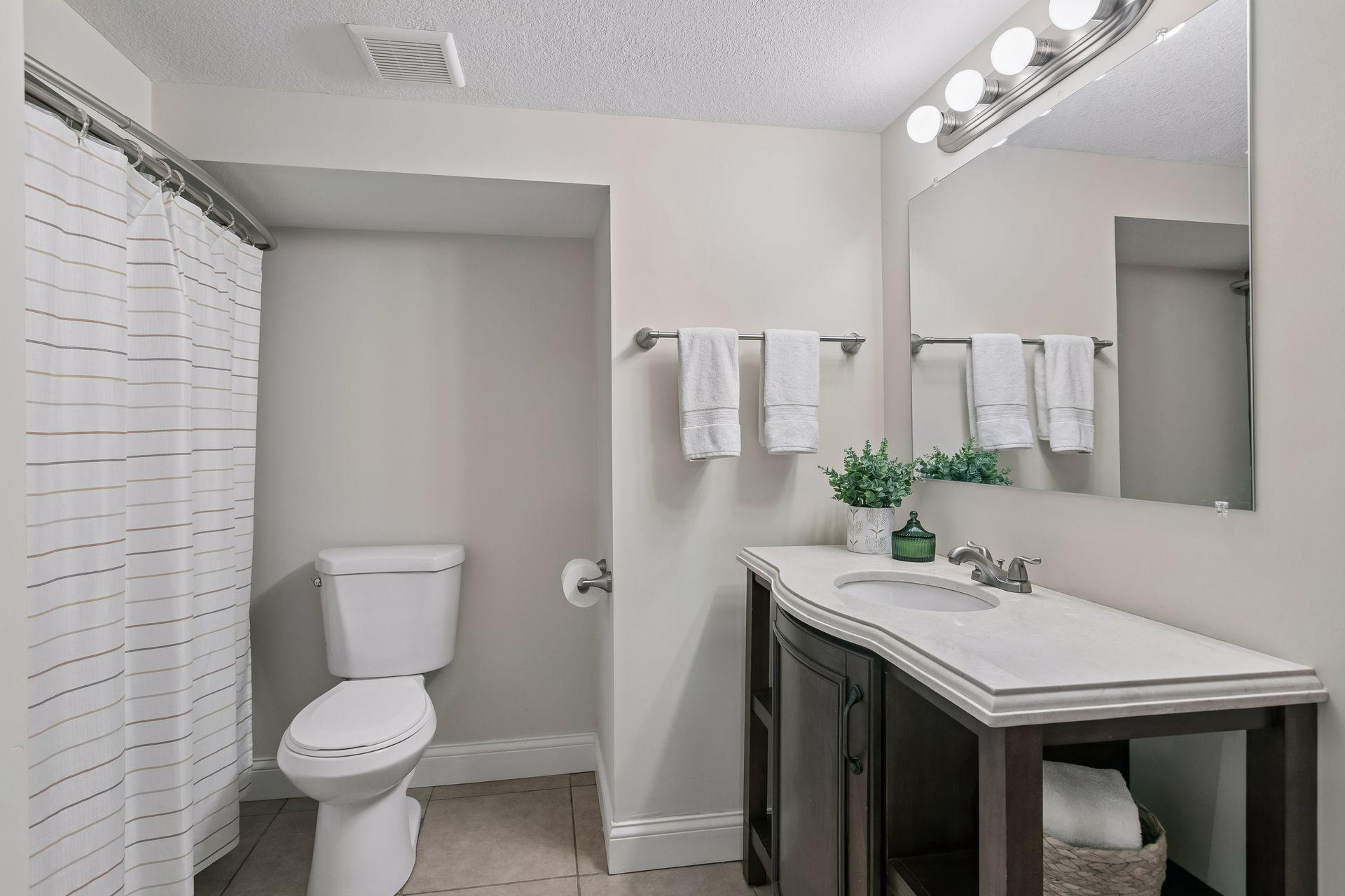 Lower level full bathroom