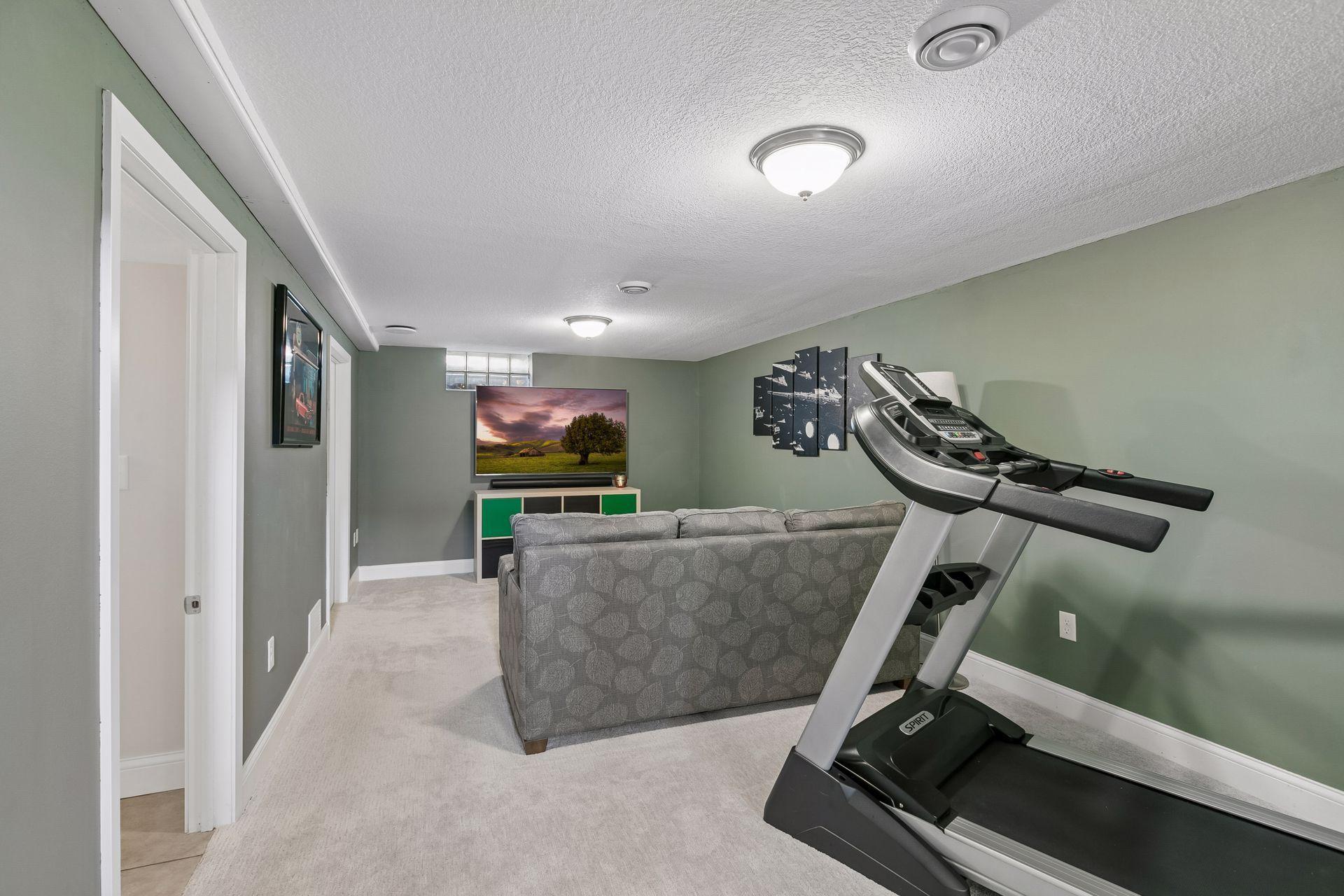 Lower level family room