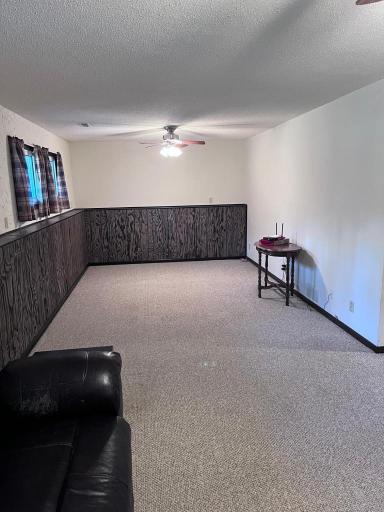 Lower level family room