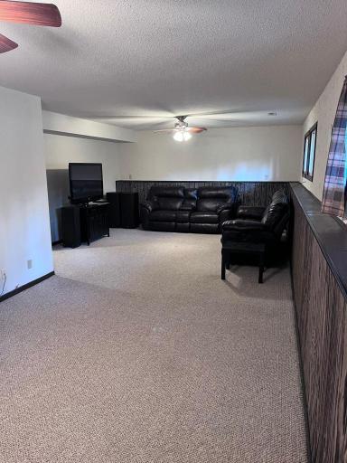 Lower level family room