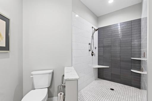 Roll-in shower in the owner's suite