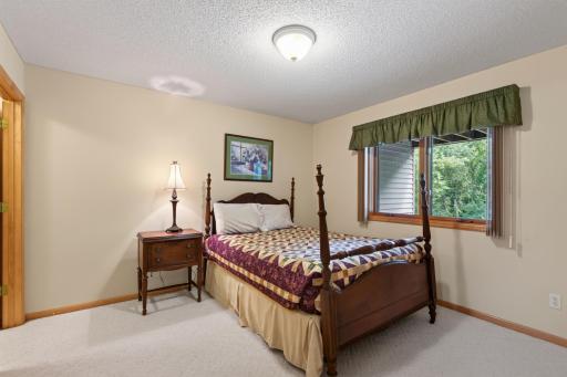 Lower level bedroom with walk-in closet