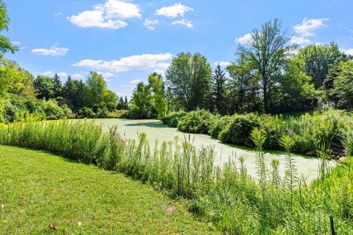 11-web-or-mls-2051 Highgate Cir-11.jpg