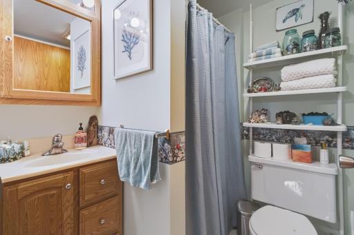 Lower level 3/4 bath.
