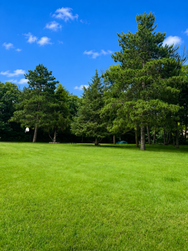 Look at this beautiful park like yard!