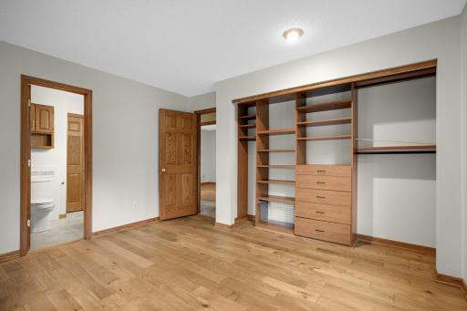 Main floor primary bedroom closet detail.