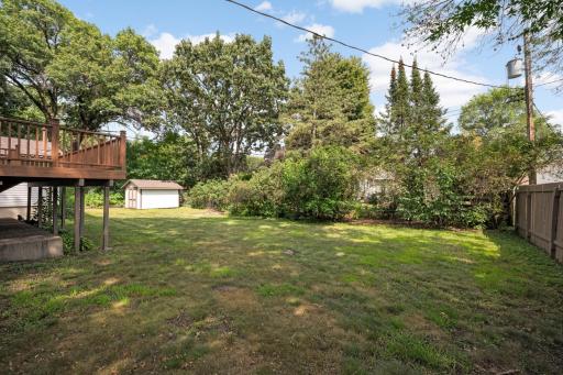 Large backyard with mature tree coverage.