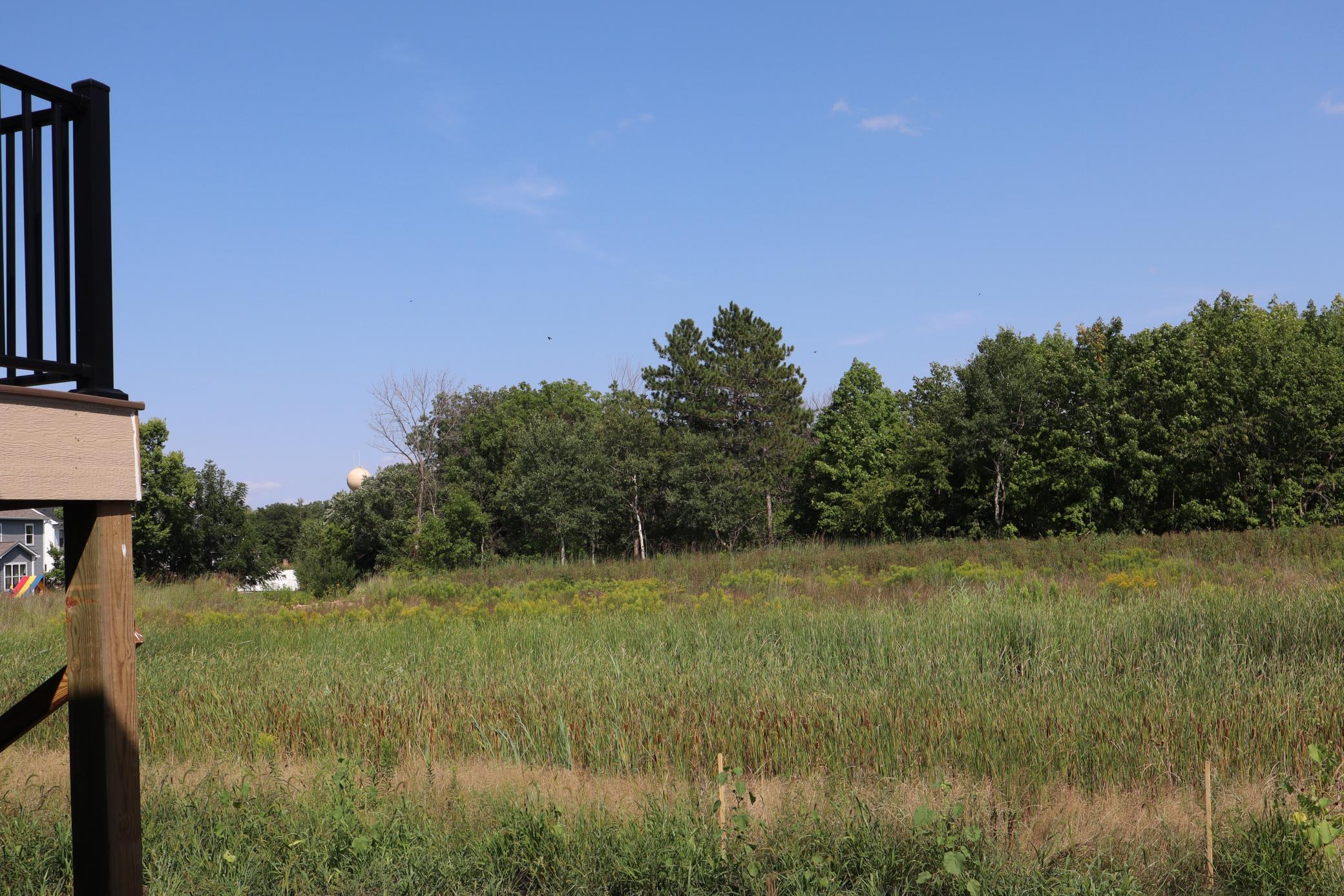 View from Backyard