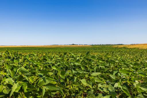 TBD 15 St SE Lot 1, Wimbledon, ND 58492