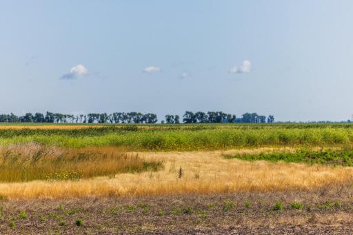 TBD 15 St SE Lot 1, Wimbledon, ND 58492